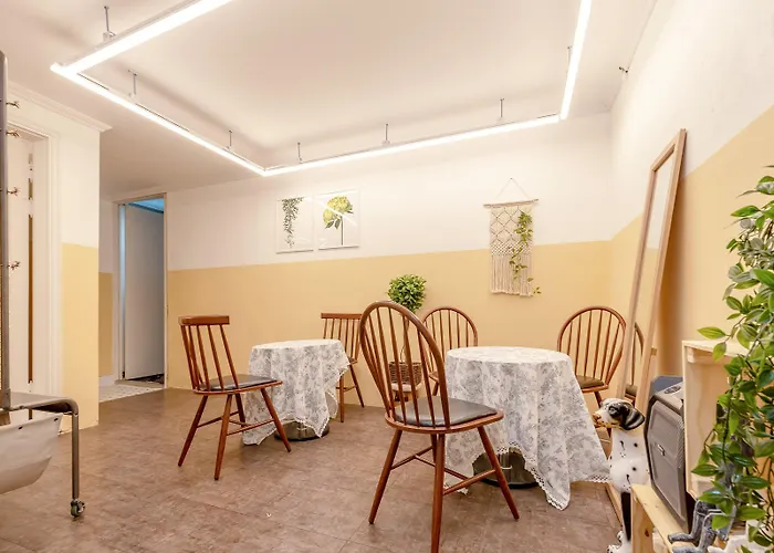 Seeu House Hongdae