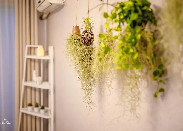 Seeu House Hongdae アパート *